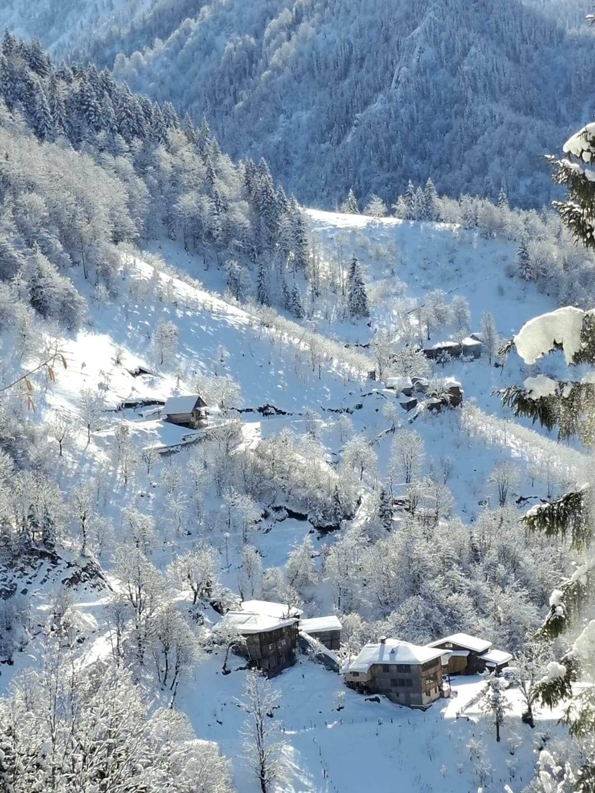 Artvin Macahel Pansiyon