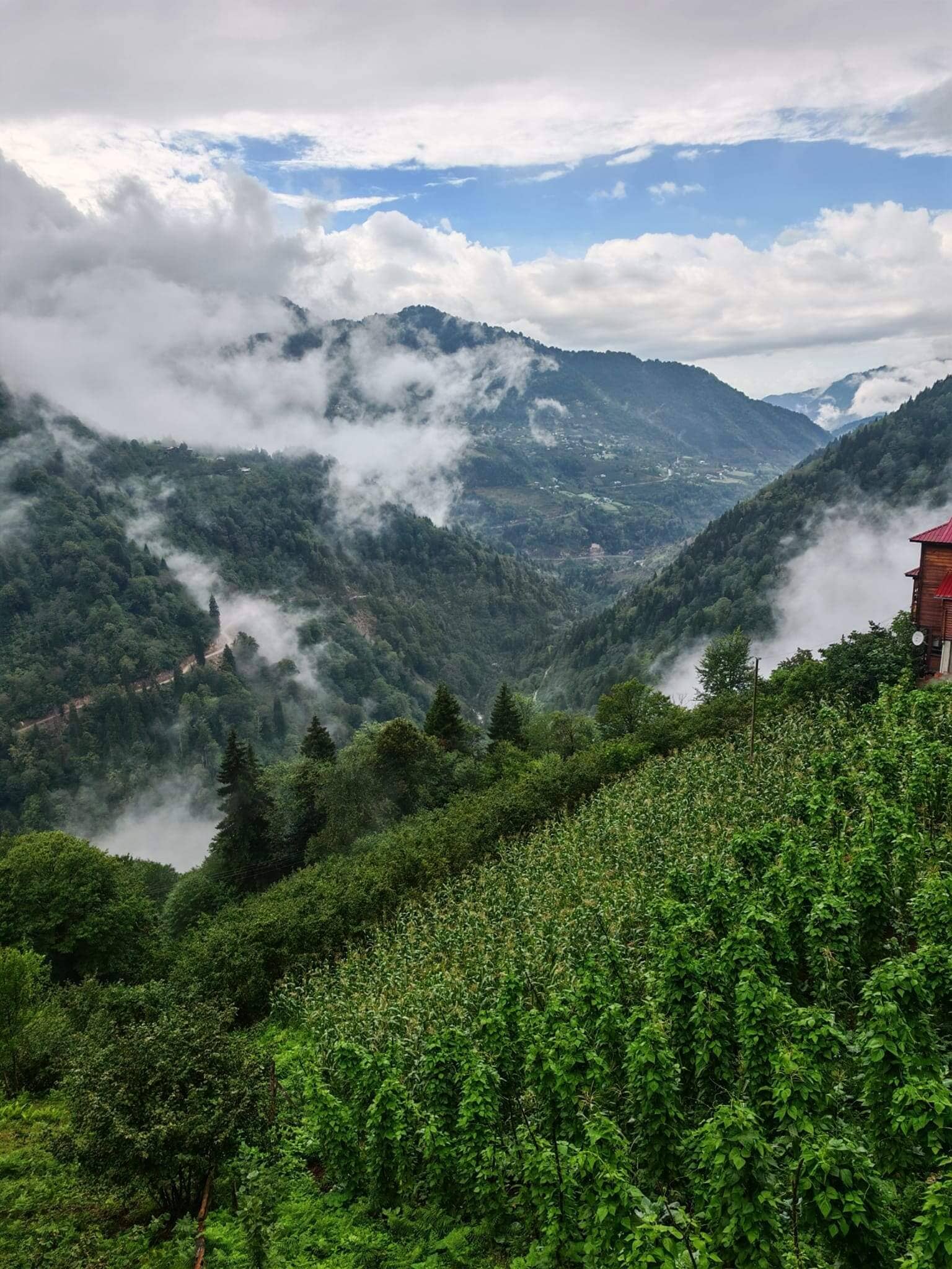 Artvin Macahel Pansiyon